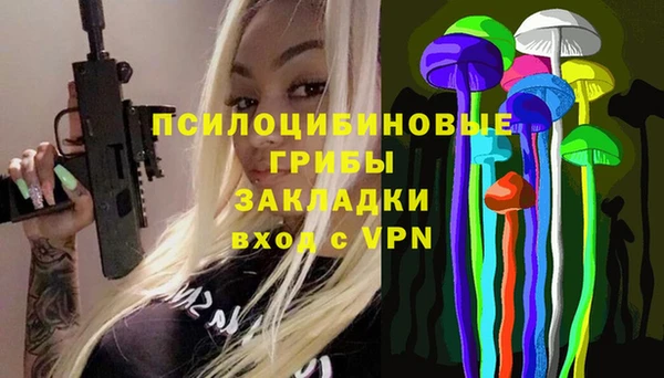 Альфа ПВП Алзамай