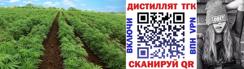 Дистиллят ТГК жижа  Южно-Сахалинск 